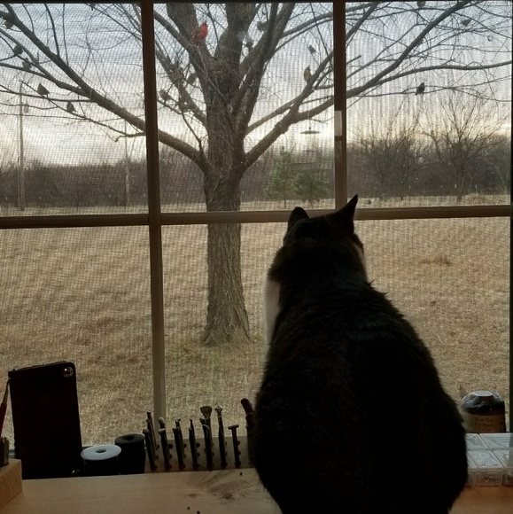 Meet your Posher, Beth - Picture 3 of 8